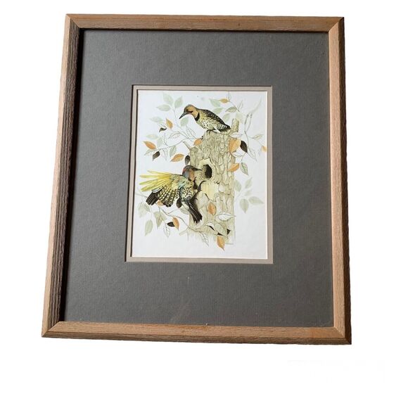Vintage 70s Framed Print Frank Massa Yellow Shafted Flicker Birds Art - Picture 1 of 9